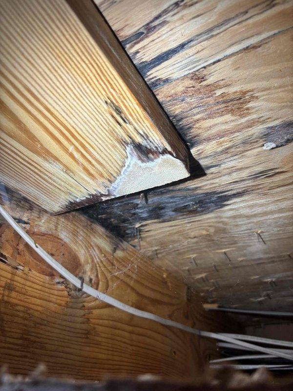 Responded to report of water leak from bathtub penetrating ceiling below. Conducted visual inspection of affected area, accessing ceiling joists and structural framing to assess moisture damage. Documented extensive water staining and discoloration on wooden structural members, indicating active or recent water intrusion. Photographed evidence of moisture damage to ceiling framing for record. Additionally inspected lower bathroom sink for reported slow drainage issue. Responded to report of water leak from bathtub penetrating ceiling below. Conducted visual inspection of affected area, accessing ceiling joists and structural framing to assess moisture damage. Documented extensive water staining and discoloration on wooden structural members, indicating active or recent water intrusion. Photographed evidence of moisture damage to ceiling framing for record. Additionally inspected lower bathroom sink for reported slow drainage issue.