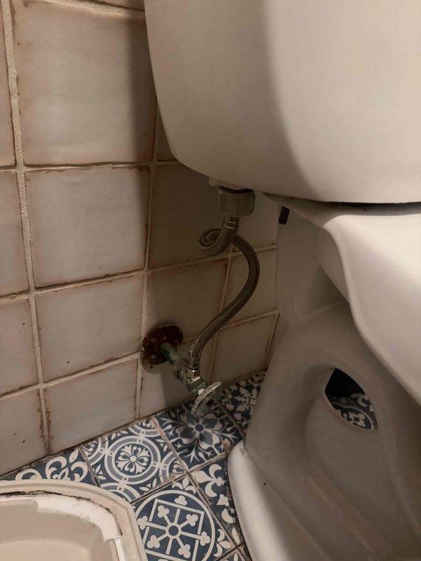 Performed pressure diagnostic evaluation on building water system and identified plumbing issues requiring water shutdown to the entire building. Inspected bathroom plumbing connections including toilet supply lines, shut-off valves, and flexible braided metal water supply components. Examined mechanical closet containing water distribution infrastructure with copper piping, brass pressure valves, PVC drainage lines, and associated fittings. Documented conditions of plumbing system through photographic evidence showing toilet fixture connections, decorative tile flooring, wall-mounted shut-off valves, and utility compartment containing water supply lines, pressure regulation components, and drainage pan assembly. Coordinated with building management regarding system shutdown and diagnostic findings. Performed pressure diagnostic evaluation on building water system and identified plumbing issues requiring water shutdown to the entire building. Inspected bathroom plumbing connections including toilet supply lines, shut-off valves, and flexible braided metal water supply components. Examined mechanical closet containing water distribution infrastructure with copper piping, brass pressure valves, PVC drainage lines, and associated fittings. Documented conditions of plumbing system through photographic evidence showing toilet fixture connections, decorative tile flooring, wall-mounted shut-off valves, and utility compartment containing water supply lines, pressure regulation components, and drainage pan assembly. Coordinated with building management regarding system shutdown and diagnostic findings.