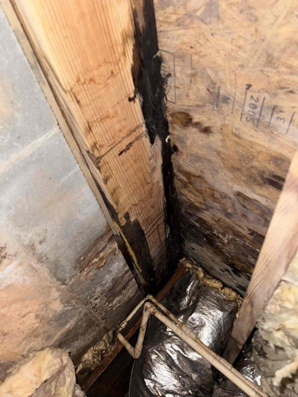 Inspected the crawlspace and located the moisture intrusion source at the foundation wall cavity, where long-term water exposure had caused staining and deterioration of the wood stud and OSB sheathing. Assessed the adjacent drain piping, P-trap assembly, and supply line for leak points, and documented displaced and damaged fiberglass insulation and ductwork wrapping at the affected area. Recommended removal of saturated insulation and debris, repair of the water source, and treatment or replacement of compromised framing and sheathing to prevent further damage. Inspected the crawlspace and located the moisture intrusion source at the foundation wall cavity, where long-term water exposure had caused staining and deterioration of the wood stud and OSB sheathing. Assessed the adjacent drain piping, P-trap assembly, and supply line for leak points, and documented displaced and damaged fiberglass insulation and ductwork wrapping at the affected area. Recommended removal of saturated insulation and debris, repair of the water source, and treatment or replacement of compromised framing and sheathing to prevent further damage.