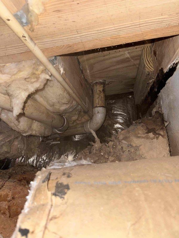Inspected the crawlspace and located the moisture intrusion source at the foundation wall cavity, where long-term water exposure had caused staining and deterioration of the wood stud and OSB sheathing. Assessed the adjacent drain piping, P-trap assembly, and supply line for leak points, and documented displaced and damaged fiberglass insulation and ductwork wrapping at the affected area. Recommended removal of saturated insulation and debris, repair of the water source, and treatment or replacement of compromised framing and sheathing to prevent further damage. Inspected the crawlspace and located the moisture intrusion source at the foundation wall cavity, where long-term water exposure had caused staining and deterioration of the wood stud and OSB sheathing. Assessed the adjacent drain piping, P-trap assembly, and supply line for leak points, and documented displaced and damaged fiberglass insulation and ductwork wrapping at the affected area. Recommended removal of saturated insulation and debris, repair of the water source, and treatment or replacement of compromised framing and sheathing to prevent further damage.