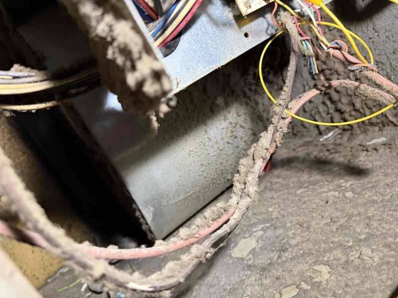 Diagnosed no heat complaint at Red Maple Grove property, finding signs of age and wear in 10+ year old furnace system with rust, water staining on PVC connections, and dusty electrical components. Completed inspection of internal components and wiring connections to identify failure points requiring repair - pending approval from property management.