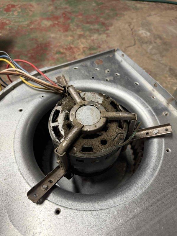 Diagnosed blower motor bearing failure causing loud noise in furnace. Performed electrical testing with clamp meter (reading 411) on control board and inspected motor assembly, which showed signs of wear with dust accumulation. Customer advised of necessary motor replacement.