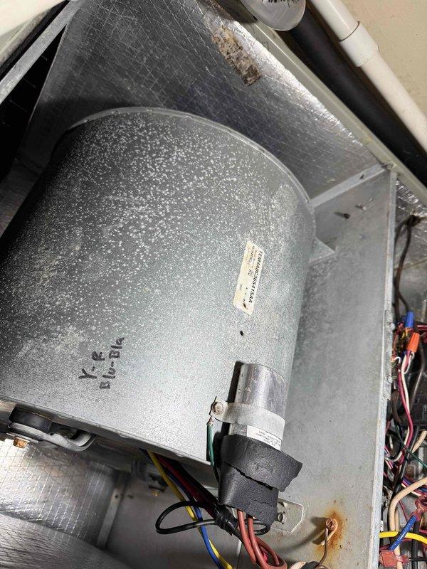 Performed annual heating maintenance service on residential HVAC system. Inspected blower assembly and motor connections, cleaned components, and verified proper electrical connections at the breaker panel. All systems functioning properly with no issues identified.
