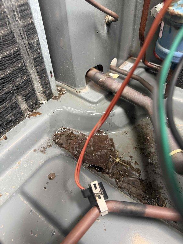 Diagnosed heat pump failure on 10+ year old system. Found severely dirty evaporator coil with standing water and debris in drain pan. Performed pressure testing which confirmed refrigerant issues. System requires full replacement; measurements and photos have been taken for equipment ordering.