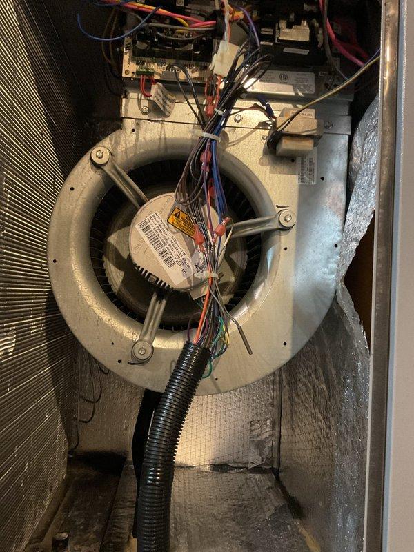 Performed 2025 heating maintenance on geothermal system. Inspected and verified proper operation of Grundfos circulation pumps, distribution manifold, and blower assembly. All components including motor wiring, fan housing, and heat exchanger were found to be in good working condition with no signs of damage or deterioration.