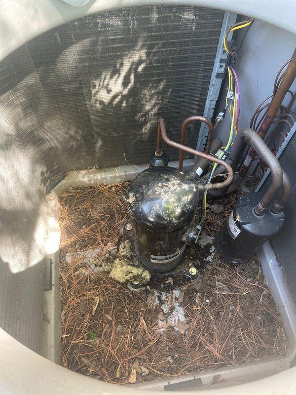 Responded to no cooling complaint on residential air conditioning system. Upon inspection, found outdoor condenser unit filled with significant debris including pine needles, twigs, and nesting material surrounding compressor. Performed diagnostic testing with manifold gauges and determined compressor failure. Removed failed compressor, cleaned interior of condenser unit removing all organic debris and nesting materials, and installed new replacement compressor. Connected refrigerant lines, evacuated system, recharged with appropriate refrigerant to manufacturer specifications, and verified proper system operation with all pressures and temperatures within normal range.
