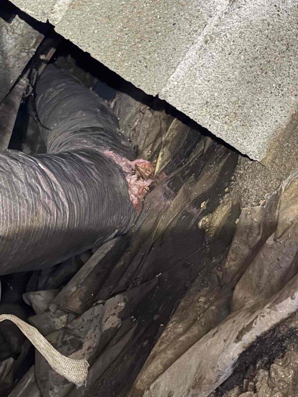 Responded to complaint of inadequate airflow to back room. Inspected floor register and traced flexible ductwork through attic space. Found disconnected and unsealed duct joints causing significant air loss before reaching the affected room. Reattached and sealed all ductwork connections with mastic and foil tape to restore proper airflow. Verified system operation and confirmed improved air delivery to back room upon completion.
