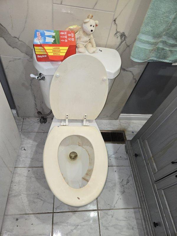 Conducted site assessment for installation of two toilets in residential bathrooms. Inspected existing fixtures, plumbing connections, and floor conditions in both locations. Documented current toilet conditions showing age-related wear, staining, and discoloration requiring replacement. Evaluated tile flooring, wall configurations, and accessibility for new fixture installation. Photographed installation sites to provide accurate estimate for complete toilet removal and replacement, including necessary supply line connections, wax ring seals, and proper mounting hardware.