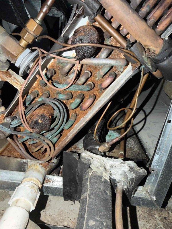 Responded to no-cooling call where indoor blower was operating but outdoor unit failed to run. Upon arrival, performed electrical diagnostics on the outdoor condensing unit and measured 24.2 volts at the control board, confirming proper low-voltage signal from thermostat. However, noted extensive corrosion and rust throughout the indoor air handler cabinet, affecting multiple internal components including the evaporator coil assembly, blower housing, and metal framework. The severe deterioration of the indoor unit indicates prolonged exposure to moisture and compromised cabinet integrity. Outdoor unit electrical components were tested and found to be receiving proper voltage. The widespread corrosion observed in the indoor unit suggests potential refrigerant leaks, drainage issues, or cabinet seal failures that have allowed moisture intrusion over time. Documented system condition with photos showing the extent of internal component degradation. Provided customer with findings and reco