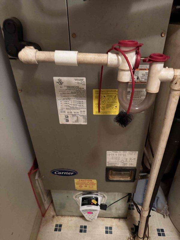 Installed REME HALO air purification system on existing Carrier HVAC unit. Completed electrical connections to control panel, mounted purification device in supply plenum, and verified proper operation of system upon startup.