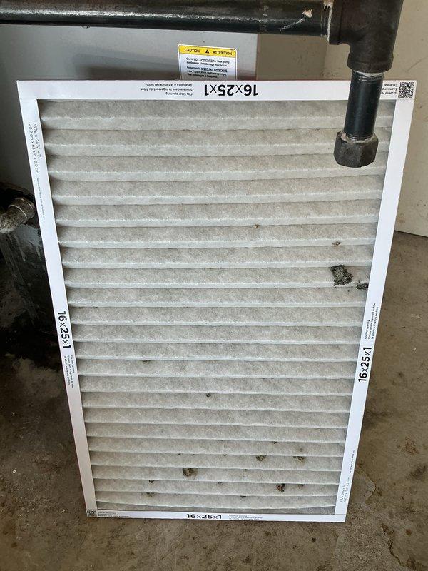 Completed scheduled air conditioning tune-up maintenance service. Inspected and photographed 16x25x1 air filter showing moderate dust accumulation and debris, indicating normal usage since last service. Examined outdoor condensing unit electrical components including capacitor, contactor, and associated wiring connections; all components found secure with proper wire management and in functional operating condition.