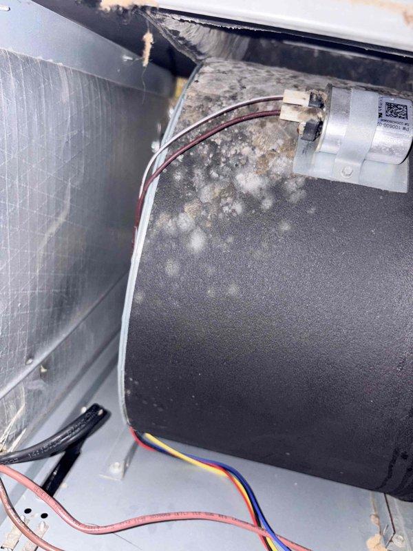 Completed monthly cooling maintenance on two HVAC systems. Inspected blower wheel assembly and noted moderate dust and debris accumulation on centrifugal fan blades and interior components; documented condition with photos showing buildup on blower housing and filter areas. All mechanical components, electrical connections, and wiring verified intact and operational; systems functioning within normal parameters.