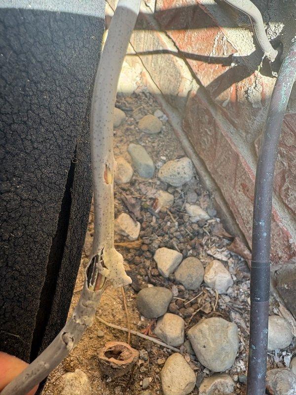 Responded to no cooling complaint on residential HVAC system less than 10 years old. Inspected outdoor condensing unit and low-voltage control wiring at exterior electrical junction box, verifying all thermostat wire connections and power supply to unit. System evaluated and found all electrical connections secure with proper color-coded wiring configuration intact.