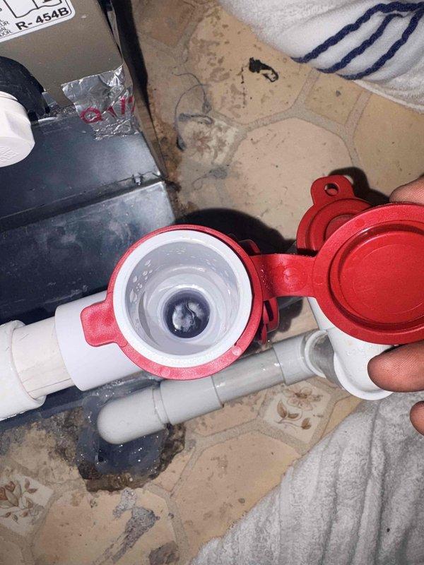 Responded to callback for reported condensate leak. Inspected condensate drain system and located drain line assembly with cleanout port in mechanical area. Opened cleanout valve and inspected internal filter screen for blockages. Verified floor register area and measured ambient conditions at 85.5°F. Checked condensate drain line routing and confirmed proper drainage flow through PVC piping system to ensure leak has been resolved.