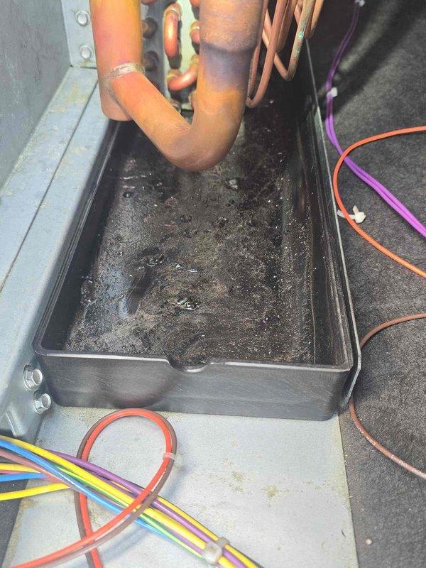 Responded to commercial service call for 25-ton rooftop unit experiencing repeated breaker trips. Upon inspection, discovered evaporator coil showing moderate dirt accumulation and condensate drain pan with significant standing water containing debris and sediment, indicating potential drainage blockage. Diagnosed that restricted airflow from soiled coil combined with clogged condensate system was causing increased amperage draw and subsequent breaker trips. Completed thorough inspection of heat exchanger assembly, refrigerant lines, and electrical connections to verify proper system operation and identify root cause of electrical overload condition.