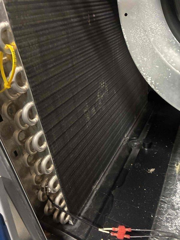 Performed comprehensive tune-up on 4-year-old furnace located in basement. Conducted standard maintenance procedures including temperature measurements of supply air (87°F recorded), inspected heat exchanger coil condition, verified refrigerant line connections and securing, and assessed overall system operation. System found to be functioning properly with no deficiencies noted; all components operating within normal parameters.