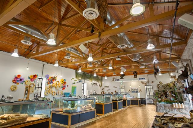 Caliber 1 Construction is proud to serve as the commercial renovation contractor for the expansion and renovation of the Rome-Floyd E.C.O. Center in Rome, Georgia. Project highlights include a new reception and office space, upgraded exhibit areas, a new elevator and stair tower for upper-level access, renovated multi-purpose space, and ADA-accessible improvements to landscaping, entryways, and restrooms. Exterior upgrades include gabion low-walls, permeable pavers, and a more welcoming visitor entrance. We’re honored to partner on projects that promote education and environmental awareness in our communities.  Put this on your list to visit on your next trip to Rome, Georgia!