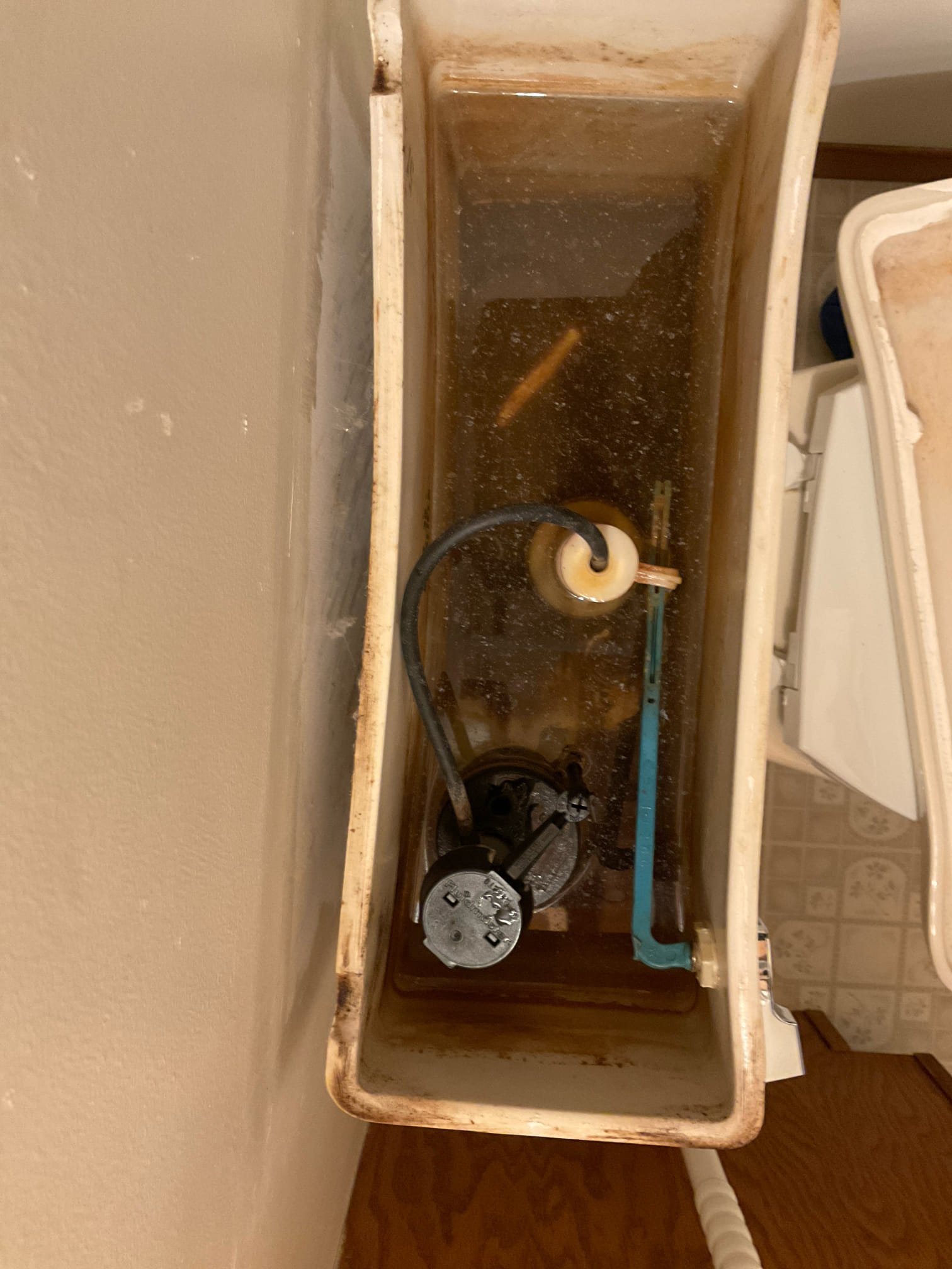 Today’s visit was to test the water. The water ph is testing at 6ph. This shows the water is acidic that can play a role in break down of copper pipes as swell as water treatment equipment. The water softener is an older system (manufacture recommends replace inc the unit at 10 years) that does not have any pre filtration. There’s signs of hard water indicating the water softener is not working correctly. There was debris in the kitchen faucet which was replaced on January 14 25 and this is not something to expect. The water in the toilet is showing a lot of debris and the copper pipes are showing corrosion. The faucet in the basement was blocked with debris that looked to be the internal walls of the copper pipes. 
Recommend to start with the water filtration system and replace some fixtures that are affected and possibly a repipe later. 
Another potential is a venting issue on the sewer that’s causing the downstairs toilet to siphon.
Another issue is the galvanized piping on the wate