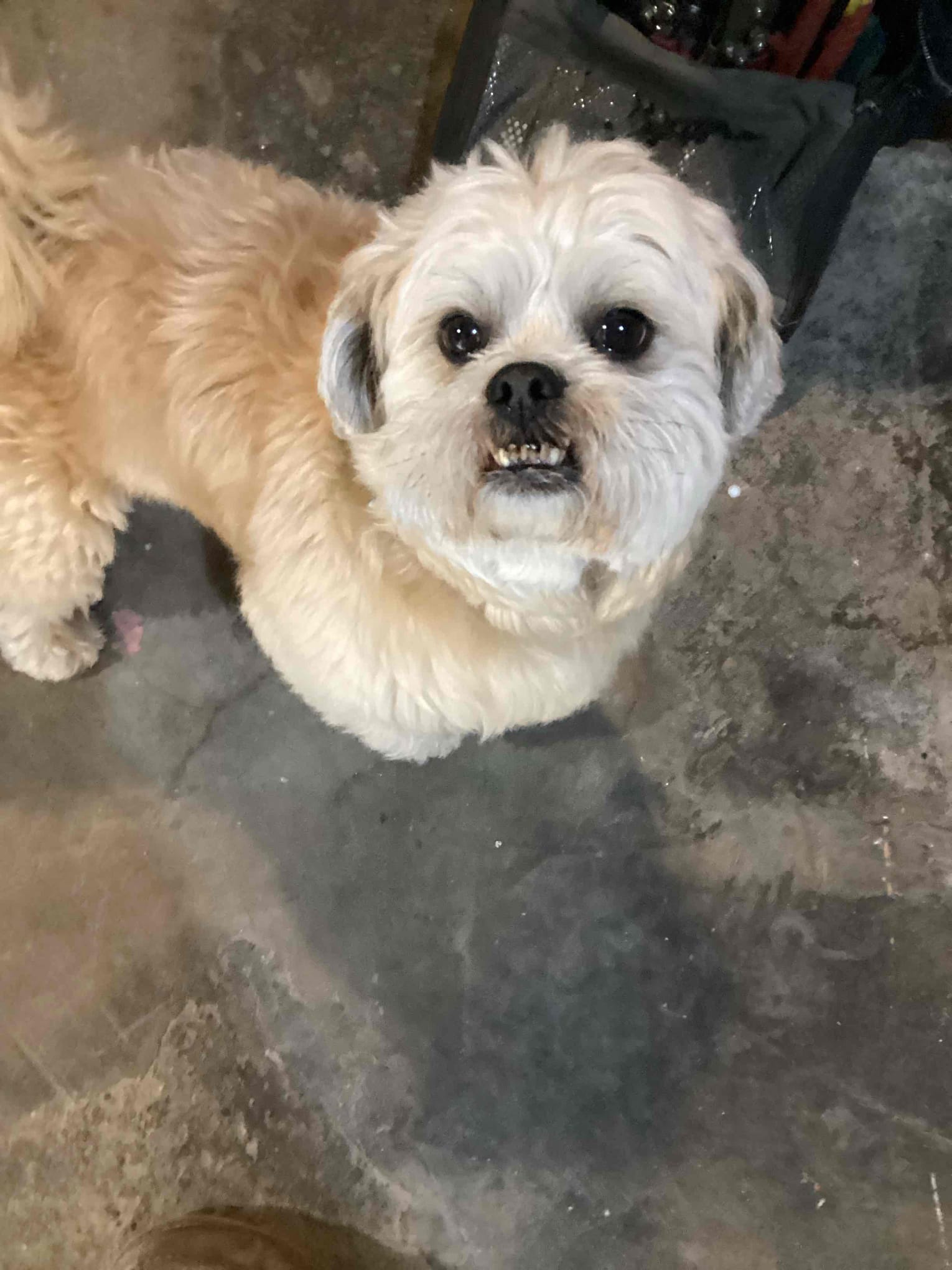 Downflow furnace ac filter cabinet 