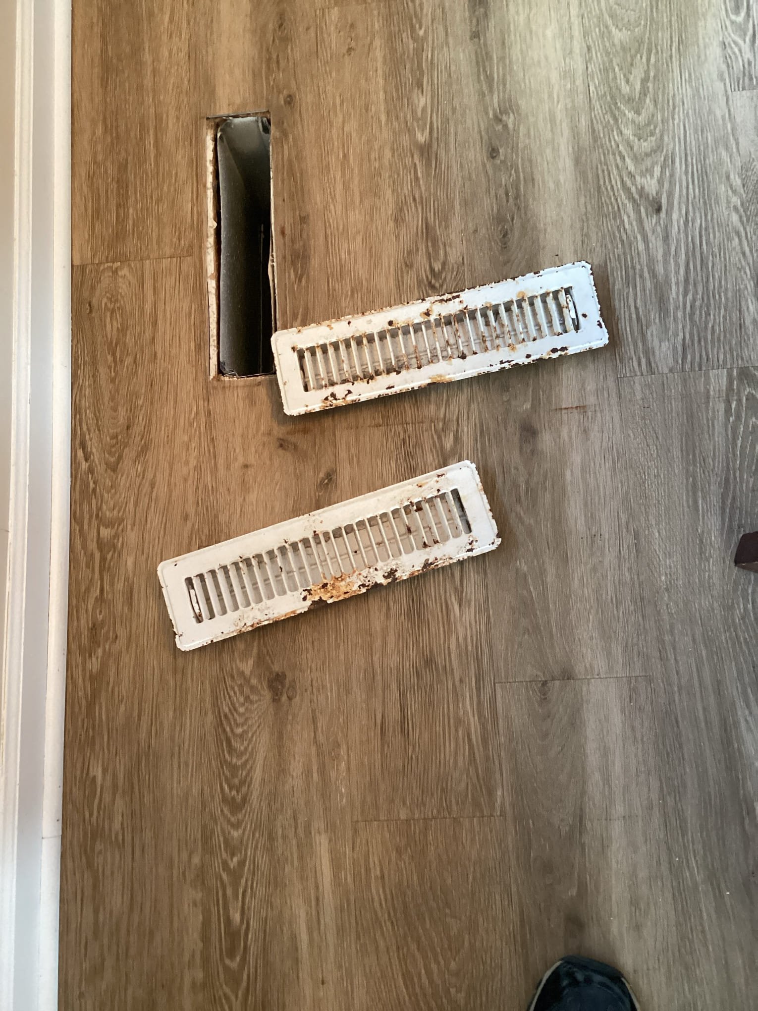 Furnace tuneup rusty vents are not from furnace could be high humidity issue or dog peeing issue not sure.