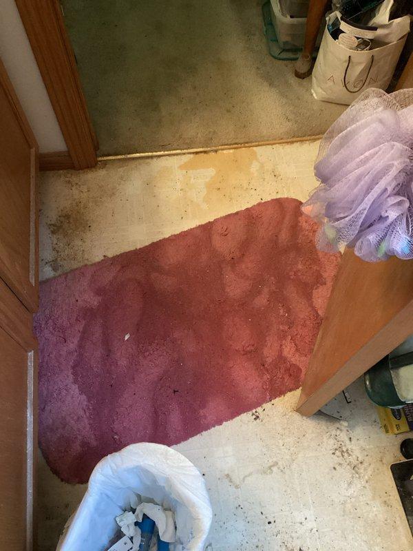 Diagnosed and repaired pinhole leak in 1/2" copper supply line to toilet that was causing water damage to bathroom floor and adjacent closet. Customer had water service shut off upon arrival. Completed necessary repairs, restoring water service and eliminating the leak.