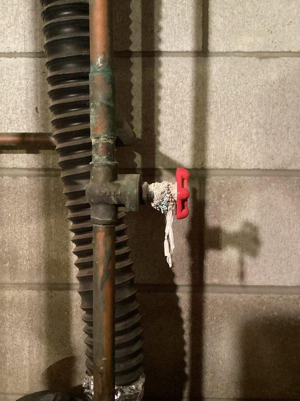 Diagnosed and replaced failed inducer blower fan motor on Bradford-White water heater that was creating excessive noise. Observed significant copper pipe corrosion with visible green patina and mineral buildup around valve connections. System now operating normally with proper ventilation restored.