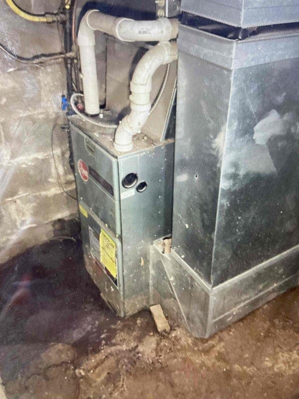 Performed annual furnace maintenance on aging unit (20+ years old) located in basement with moisture issues. Inspection revealed severe rust damage, failing motor bearings causing excessive noise during startup, and generally deteriorated condition due to previous flooding. Recommended immediate replacement consultation and provided interim motor repair estimates as unit is approaching end of service life.