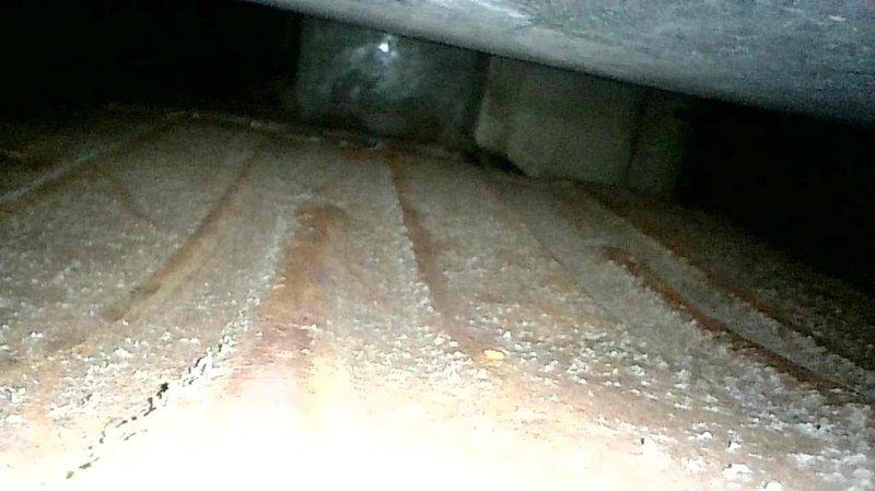 Performed furnace tune-up on FRP unit of unknown age. Detected critical safety issues including a cracked heat exchanger, extremely dirty blower motor, and dangerously elevated carbon monoxide levels exceeding 100 ppm. Showed homeowner the cracked heat exchanger and carbon monoxide readings. Set up a TGL (The Goodman Loyalty) appointment to discuss replacement options.