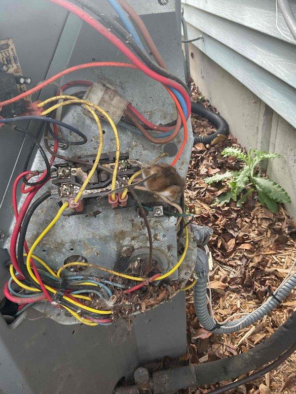 Responded to no-cooling service call for 20+ year old AC system. Diagnosed failed capacitor as the root cause. Replaced capacitor and restored proper cooling operation to the aging outdoor unit.