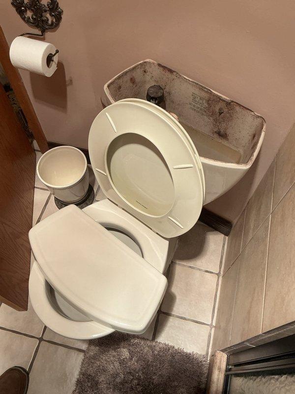 Diagnosed air lock switch issue in jacuzzi tub and provided estimate for replacement. Inspected toilet leaking from base and recommended installation of new wax ring. Noted significant interior staining in toilet tank that may require additional cleaning service.