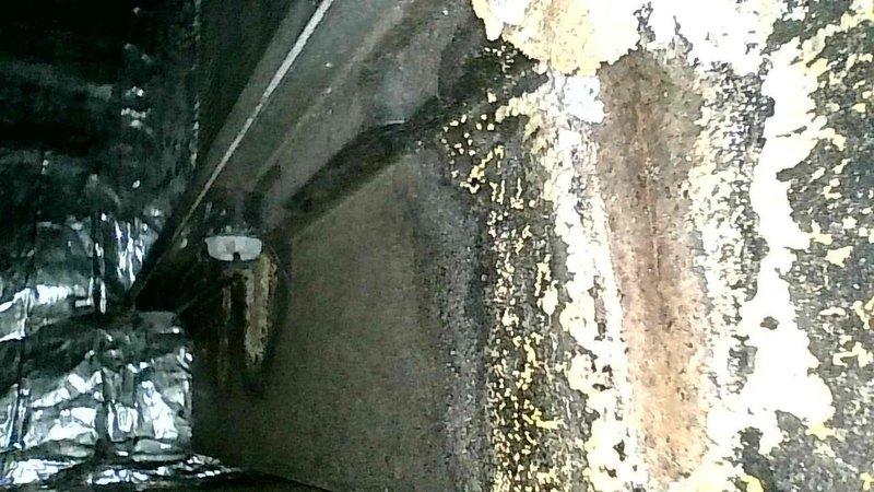 Diagnosed no-heat condition on 35-year-old furnace; found corroded and broken pressure switch hose connected to inducer motor preventing proper furnace startup. Upon full inspection, discovered cracked and severely rusted secondary heat exchanger requiring complete system replacement. Tagged unit as unsafe for operation pending replacement; service advisor scheduled for quote.