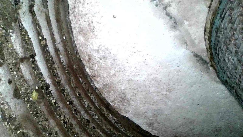 Diagnosed Peerless propane boiler with flame loss error code causing no heat/hot water issue. Inspection revealed unit would light but fail to sustain flame, with dangerous voltage (80-110V) detected at flame sensor wire indicating shorted control board. Observed minor scale buildup in heat exchanger that requires cleaning. Initiated parts order for necessary repairs.