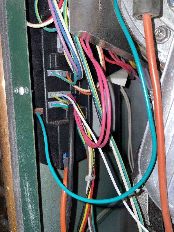 Diagnosed Peerless propane boiler with flame loss error code causing no heat/hot water issue. Inspection revealed unit would light but fail to sustain flame, with dangerous voltage (80-110V) detected at flame sensor wire indicating shorted control board. Observed minor scale buildup in heat exchanger that requires cleaning. Initiated parts order for necessary repairs.