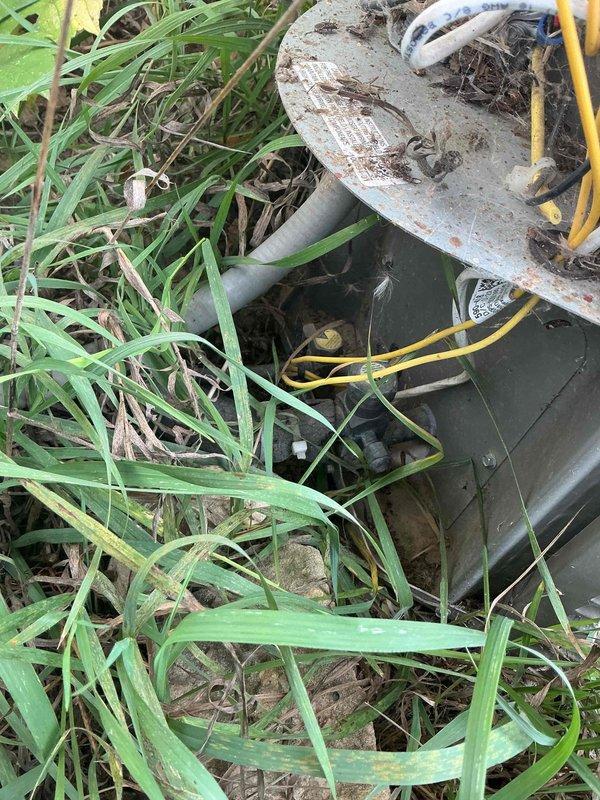 Performed comprehensive seasonal maintenance on 4-year-old furnace and 14-year-old AC unit. All furnace components inspected and found in good working condition including igniter, flame sensor, gas valve, blower assembly, induced draft motor, capacitor, and control board. Combustion analysis confirmed clean and efficient operation. AC electrical components checked with no issues found despite cooler weather limiting full system testing. Client confirmed adequate cooling performance during normal operation.
