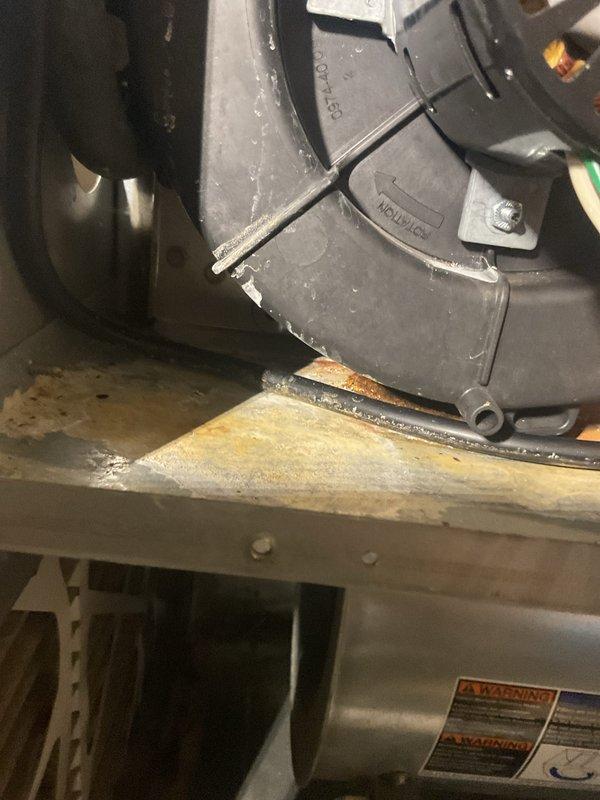 Performed annual maintenance tune-up service on two furnaces. During inspection, identified a dirty filter that was impacting system performance and replaced it with a new one. Completed electrical testing on system components with readings measuring 544V, confirming proper voltage supply to both units.