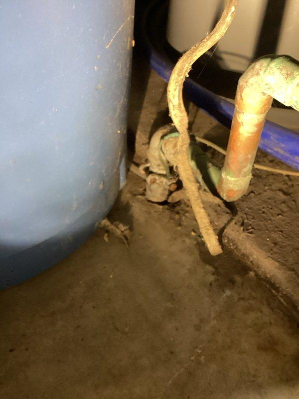 Inspected galvanized main water line connection that was flagged during home inspection. Observed existing dielectric union was intact and not leaking. Determined that replacement would create unnecessary risk of breaking the water line below floor level. Recommended maintaining current installation unless leaking occurs, at which point customer should have well technician pull new water line into house.