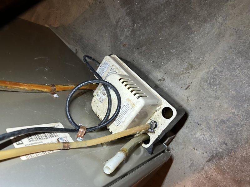 Responded to no heat complaint for 10+ year old natural gas furnace. Upon arrival, diagnosed noisy condensate pump as root cause. Performed thorough cleaning of condensate pump and associated components rather than replacement. System now functioning properly with normal operation restored and noise eliminated.