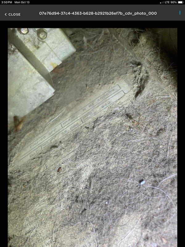 Responded to no-heat call for an aged furnace where the pilot light was operational but heating cycle failed to initiate. Diagnostic testing revealed a tripped fan safety switch, which was reset, allowing the system to resume normal operation. Customer advised about potential causes including a faulty safety switch or overheating fan motor, with recommendations to monitor system performance.