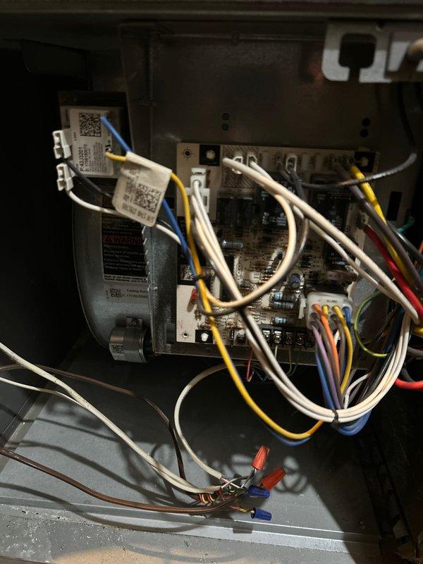 Performed comprehensive furnace tune-up on 7-year-old unit as part of Family Rewards program. Verified safe combustion, solid electrical connections, and proper function of flame sensor and ignitor. Confirmed clear condensate lines, good amperage readings, and in-range capacitor values. System is operational and prepared for winter heating season.