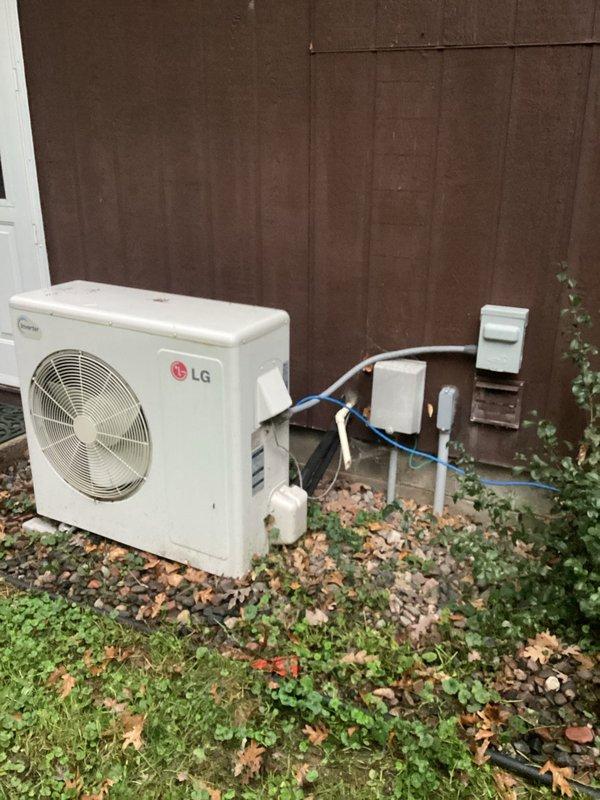 Inspected LG mini split system with reported mold issues. Confirmed presence of mold contamination on indoor head unit. Performed evaluation of blower assembly and evaporator coil, determining both components require thorough cleaning. Customer opted for cleaning service; scheduled return visit with necessary equipment (coil gun and bag kit) to complete remediation.
