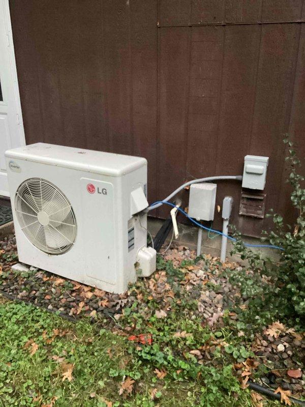 Inspected LG mini split system with reported mold issues. Confirmed presence of mold contamination on indoor head unit. Performed evaluation of blower assembly and evaporator coil, determining both components require thorough cleaning. Customer opted for cleaning service; scheduled return visit with necessary equipment (coil gun and bag kit) to complete remediation.