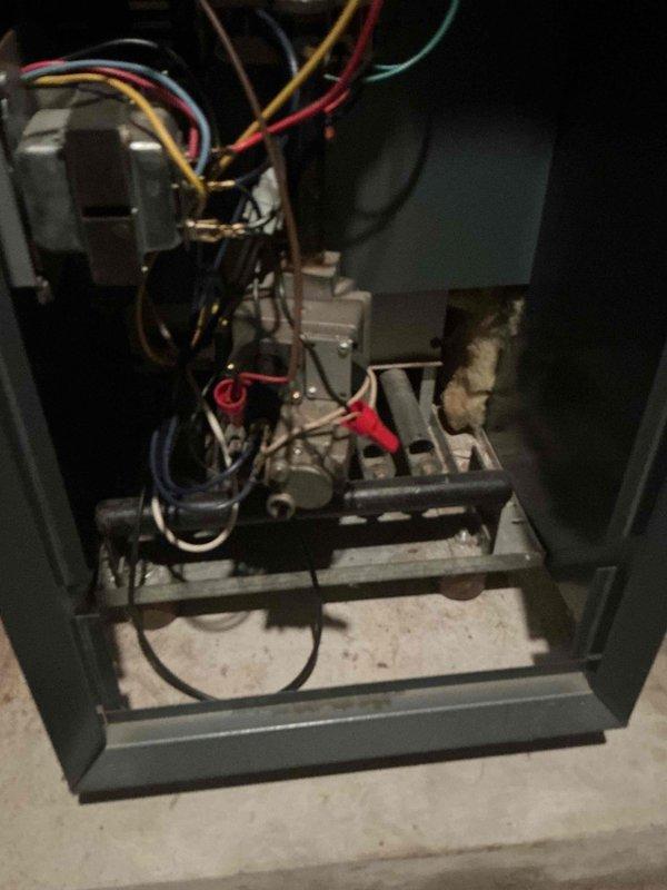 Diagnosed no heat issue on Weil McLain boiler where thermostat was found to be non-functional. Confirmed boiler operation by manually jumping R to W terminals. Discovered low system pressure indicating potential leak; added water and advised customer to monitor. Customer opted to replace batteries and possibly thermostat themselves, declining full system tune-up due to current non-operational status.