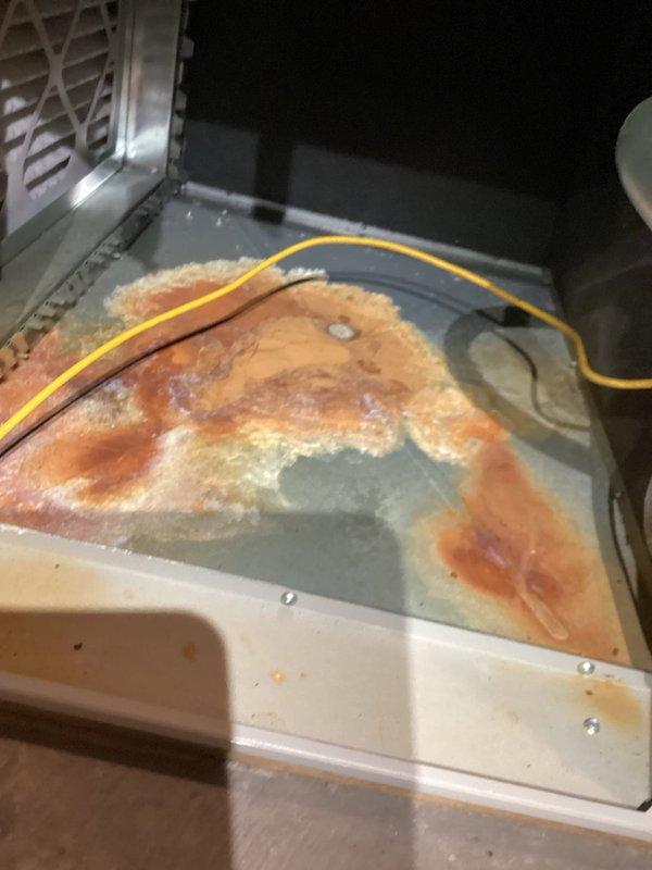 Conducted secondary inspection on furnace after previous technician's blower motor diagnosis. Confirmed blower motor failure and identified potential blower motor board issues. Discovered severe leakage from secondary heat exchanger with extensive rust/corrosion damage documented through photos. Will provide pricing options for complete furnace replacement and heat exchanger replacement.
