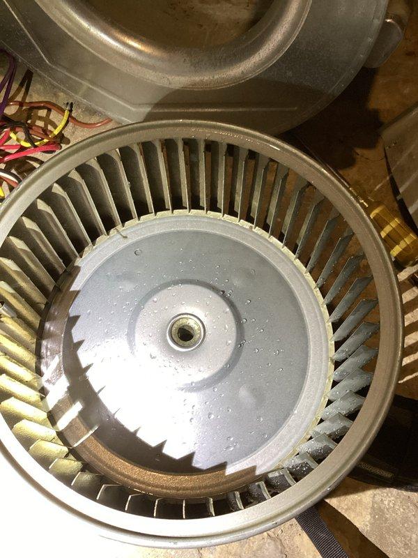 Responded to callback regarding persistent humming noise in furnace blower previously serviced. Upon inspection, determined blower wheel was severely clogged with hair and dirt despite recent motor replacement. Removed blower wheel, performed thorough cleaning of accumulated debris, and reinstalled. Also replaced customer's thermostat. System now operating quietly with proper airflow.