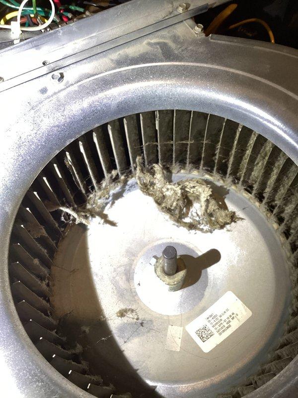 Responded to callback regarding persistent humming noise in furnace blower previously serviced. Upon inspection, determined blower wheel was severely clogged with hair and dirt despite recent motor replacement. Removed blower wheel, performed thorough cleaning of accumulated debris, and reinstalled. Also replaced customer's thermostat. System now operating quietly with proper airflow.