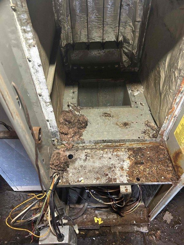 Successfully completed heat exchanger replacement on severely corroded furnace unit. Removed the deteriorated heat exchanger showing extensive rust damage and debris accumulation. Installed new heat exchanger, performed thorough testing, and verified proper operation of the furnace system.