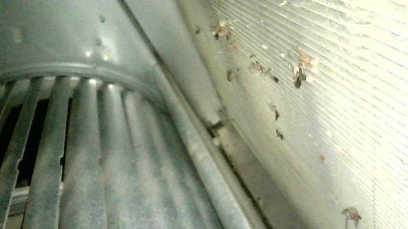 Responded to no heat complaint for aging furnace. Diagnostic testing revealed faulty inducer motor. Replaced inducer motor which restored proper system operation. Furnace is showing signs of age-related wear with visible deterioration and debris accumulation on internal components.