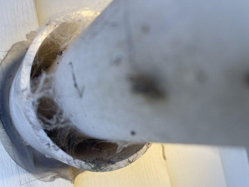 Responded to no-heat call for a 2007 furnace that would not ignite. Diagnosed restricted airflow at concentric vent due to significant cobweb accumulation in the fresh air intake, preventing pressure switch closure. Thoroughly cleaned cobwebs from both interior and exterior portions of the intake system. Performed inspection of heat exchanger which appeared to be in excellent condition despite unit age. Verified proper system operation after service was completed.