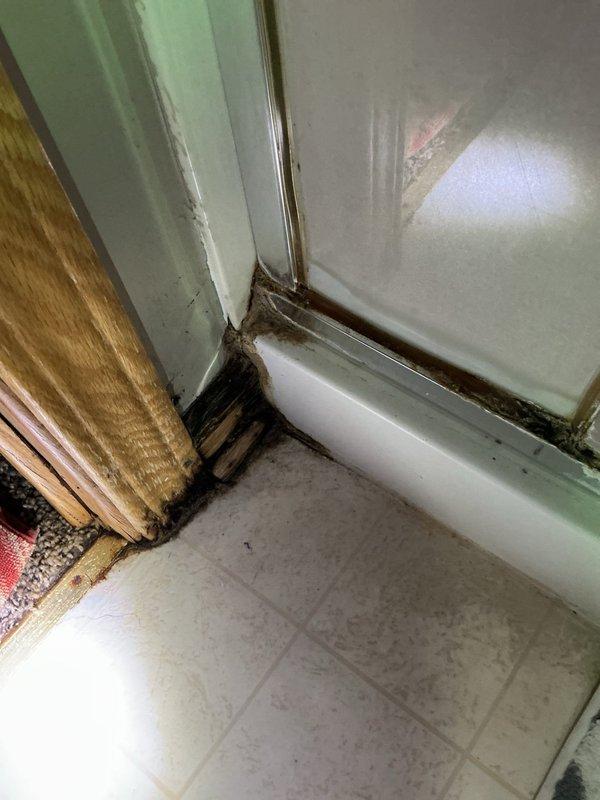 Responded to water leak issue affecting shower and adjacent bedroom closet with wet carpet. Inspection revealed no pinhole leak in plumbing after opening wall for access. Determined source of moisture is likely failed sealant between shower door and pan in bottom left corner with visible water damage and mold formation. Documented condition with photos and recommended either resealing the shower pan or further video inspection to confirm diagnosis.