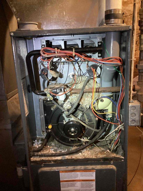 Responded to no heat call at property with Goodman furnace. Upon inspection, discovered extensive rodent infestation inside unit with nesting material throughout components. Internal examination revealed severe rusting and seized components due to previous basement flooding approximately six years ago. Multiple mice were observed within the heat exchanger area. After consultation with homeowner and demonstrating the extent of damage, recommended full system replacement as repairs would likely approach replacement cost. Responded to no heat call at property with Goodman furnace. Upon inspection, discovered extensive rodent infestation inside unit with nesting material throughout components. Internal examination revealed severe rusting and seized components due to previous basement flooding approximately six years ago. Multiple mice were observed within the heat exchanger area. After consultation with homeowner and demonstrating the extent of damage, recommended full system replacement as repairs would likely approach replacement cost.